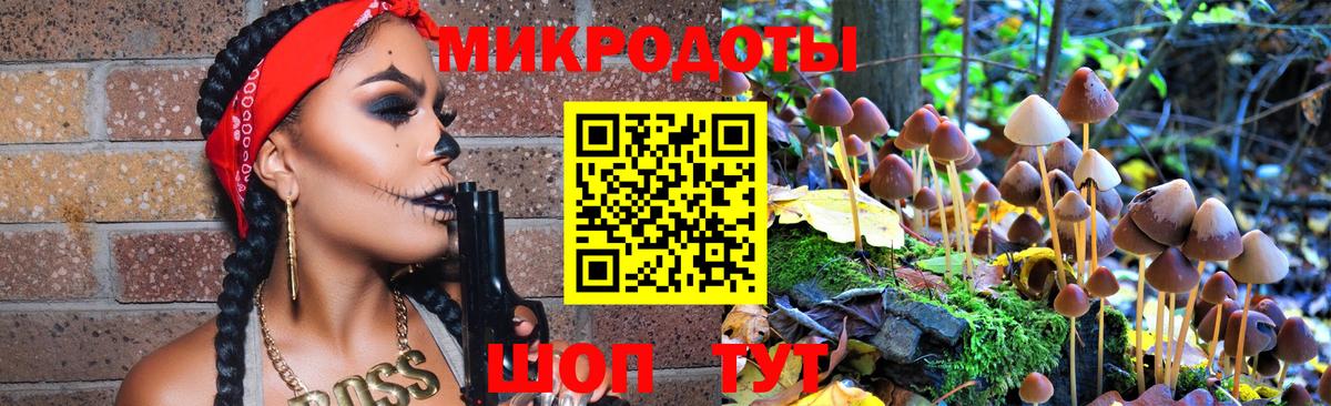 Знаменск  Псилоцибиновые грибы Cubensis  Вход с VPN 